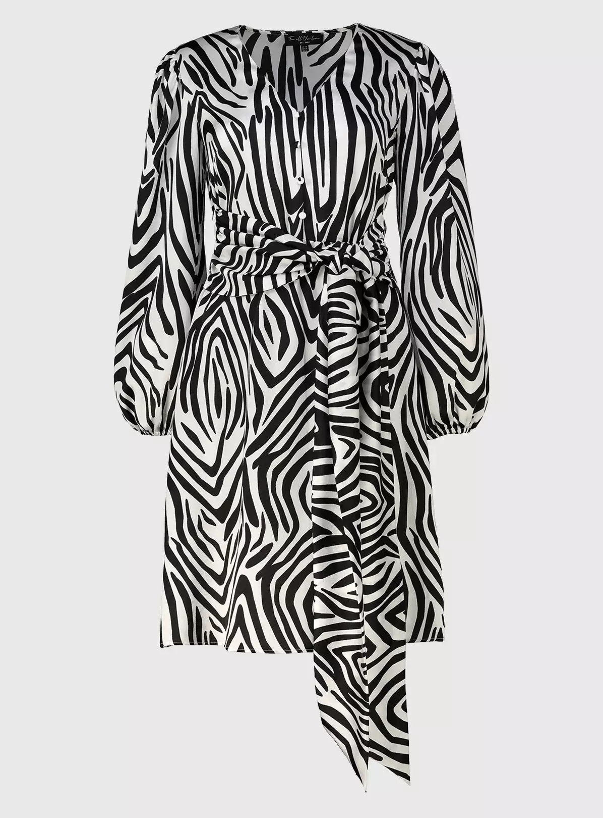 For All The Love Zebra Print Satin Tie Waist Mini Dress 6 4 For All The Love Zebra Print Satin Tie Waist Mini Dress 6 - Image 2